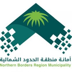 وزير الطاقة: المملكة ستكون قادرة في المستقبل على صناعة السيارات الكهربائية