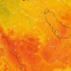بدء سريان قرار تخفيف الإجراءات الاحترازية في المملكة