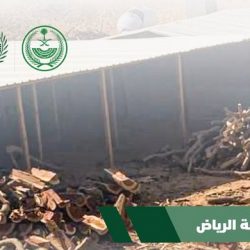 “الشباب” ينتفض ويزحف للمراكز المتقدمة عبر شباك “الباطن”