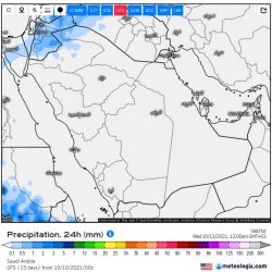 إيداع معاشات ربيع الأول للمستفيدين من الضمان الاجتماعي