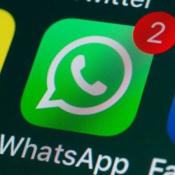 بالصور .. فرع البيئة والمياه بالشمالية يطلق حملة لتطعيم الماشية ضد الحمى القلاعية بـ “الجرعة الثانية”