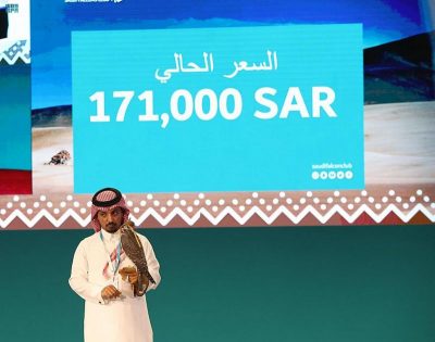 بيع صقرين بـ228 ألف ريال في الليلة الـ16 لمزاد نادي الصقور السعودي الثاني