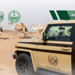 “الاتحاد” يفشل في استعادة الصدارة بعد خسارته أمام “الشباب” بهدفَيْن دون رد