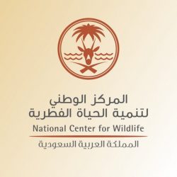 قناة 24 تسلط الضوء على أخبار منطقة الحدود الشمالية مع الإعلامي عبدالله الفهد