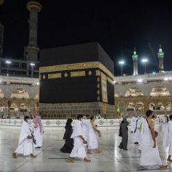 المملكة تتصدر دول الـG20 في مجموعة من مؤشرات الفحوص الخاصة بكورونا