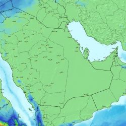 إحصاء: 3 % من سكان العالم أُصيبوا بكورونا