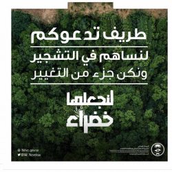 “التحالف” يعلن:  تنفيذ 19 عملية استهداف آليات وعناصر الحوثي في العبدية خلال 24 ساعة