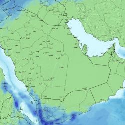 استمر التقدم حتى الدقيقة الـ85 .. “العبدالمنعم” يفسد فرحة النصر