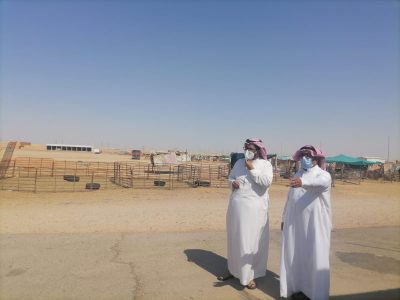 بالصور .. فرع البيئة والمياه بالشمالية ينفذ حملة تفتيشية على أسواق الماشية