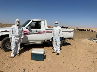 بالصور .. فرع البيئة والمياه بالشمالية يطلق حملة لتطعيم الماشية ضد الحمى القلاعية بـ “الجرعة الثانية”