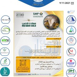 “الإعلام المرئي”: 15 يوماً لانتهاء مهلة تصحيح أوضاع الصحف الإلكترونية