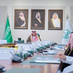 سمو أمير الحدود الشمالية يستقبل مدير معهد الإدارة العامة