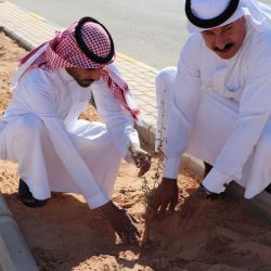 سمو أمير الحدود الشمالية يستقبل مدير معهد الإدارة العامة