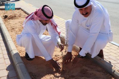 المركز الوطني للغطاء النباتي يطلق حملة تشجير بالعويقيلة