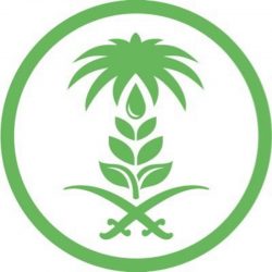 “النيابة العامة”: الدعوى الجزائية الخاصة تنقضي بعفو المجني عليه