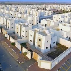 “معرض الصقور”: يمكن الآن شراء 500 قطعة ذخيرة لكل سلاح
