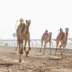 “الشباب” يحقق الفوز الخامس على التوالي ويضع “النصر” على صفيح ساخن
