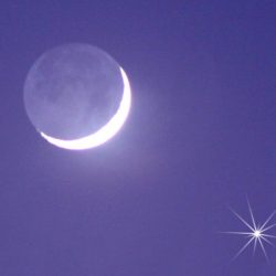 “الزكاة والضريبة والجمارك”: إقامة مزاد علني لبيع سيارات في جسر الملك فهد