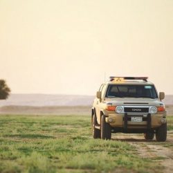لجنة الانضباط والأخلاق تُغرِّم الشباب 105 آلاف ولاعب النصر 10 آلاف.. تعرَّف على السبب