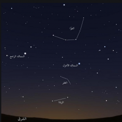 الأرصاد”: توالي درجات الحرارة انخفاضها على معظم المناطق.. وضباب بالرياض والشرقية