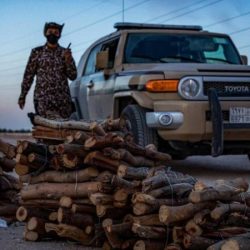 مهرجان الملك عبدالعزيز: للنساء الحق في التسجيل في منافسات “مزاين الإبل”