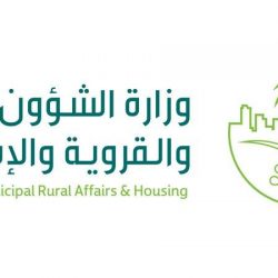 «البلدية والقروية»: إنهاء عمل المجالس البلدية