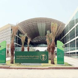 “الصحة”: تسجيل 65 حالة إصابة بكورونا.. وتعافي 82 خلال الـ24 ساعة الماضية