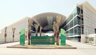 «البيئة»: 69.5 مليون.. تعويضاً للمزارعين المتوقفين عن زراعة « الأعلاف الخضراء»