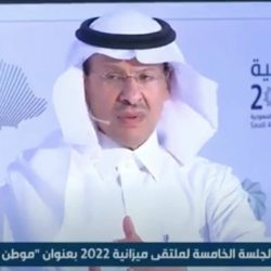 سوق الأسهم السعودية يغلق مرتفعًا عند مستوى 11019 نقطة