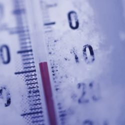 تشكيل لجنة لدراسة مشروعات إعادة هيكلة الجامعات وفق رؤية 2030