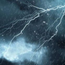 بالفيديو والصور .. الوسام يعلن عن توفير اصناف جديده من التمور بطريف