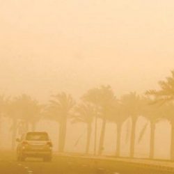 منها الشمالية .. “الحصيني” يتوقع انخفاضًا تدريجيًا للحرارة خلال الساعات القادمة على هذه المناطق
