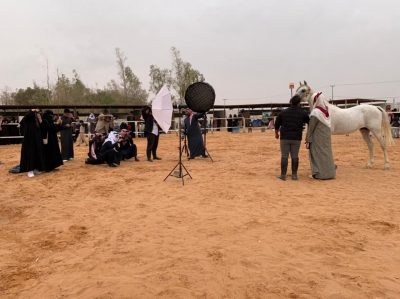 ورشة تصوير الخيل العربية الأصيلة برفحاء
