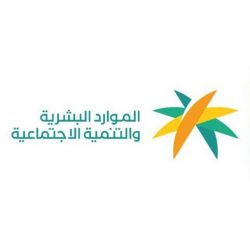 اليوم.. المرور يطرح الدفعة الخامسة من اللوحات المميزة عبر “أبشر”
