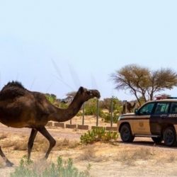 متحدث “الصحة”: الخبراء يؤكدون على أهمية العودة للدراسة واستمراريتها