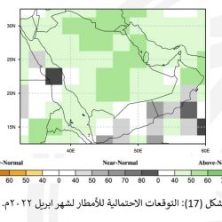 بالصور .. سمو الأمير فيصل بن خالد بن سلطان يرعى ختام مهرجان الصقور بمنطقة الحدود الشمالية