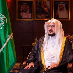 “الجوازات” تدرج “تجديد الإقامة للبرماويين” ضمن خدمة “تواصل” على “أبشر”