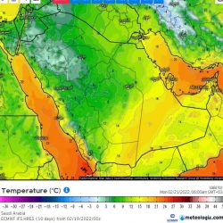 “الصحة” تطلق خدمة سريعة لإنقاذ الحياة على مدار الساعة