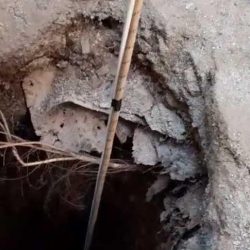 “الشؤون الإسلامية” تحتفل باليوم العالمي للإنترنت الآمن بتوعية منسوبيها في كل المناطق