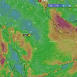 ديوان المظالم يُنجز أكثر من 31 ألف دعوى في جميع محاكمه في جميع مناطق المملكة