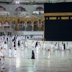 “الصحة”: تسجيل 1726 حالة إصابة بكورونا.. وتعافي 2983 خلال الـ24 ساعة الماضية