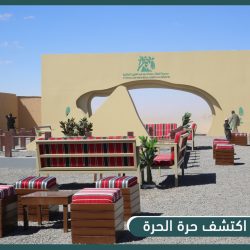 “آل الشيخ” يوجه الخطباء والأئمة بالتوعية من أضرار التسول