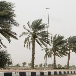 “الحصيني”: أمطار متفرقة ابتداء من مساء الغد على أجزاء من الحدود الشمالية والجوف