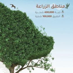 المرور: 5 أمور رئيسة تضمن سلامة الطلاب خلال تنقلاتهم بالحافلات المدرسية