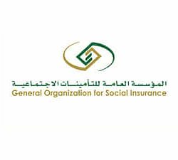 “الحج”: لا صحة لاكتمال حجوزات العمرة في رمضان