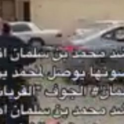 بالصور… سمو أمير الحدود الشمالية يقيم حفل استقبال احتفاءً بسمو نائبه