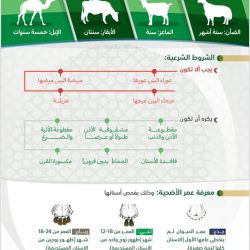 سيول وعواصف وبرد.. “الحصيني”: “ممطرة” تواعد هذه المناطق غدًا