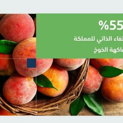 خلال أسبوع.. ضبط 17114 مخالفًا لأنظمة الإقامة والعمل وأمن الحدود