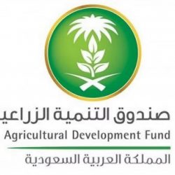 الموارد البشرية: تحديث ضوابط وإجراءات انقطاع العامل عن العمل في القطاع الخاص
