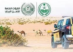 “النيابة العامة”: ‏يُحظر انتحال ألقاب مزاولي مهنة التقييم أو الدعاية